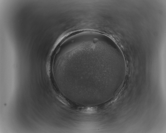 X0000111380056200907101134