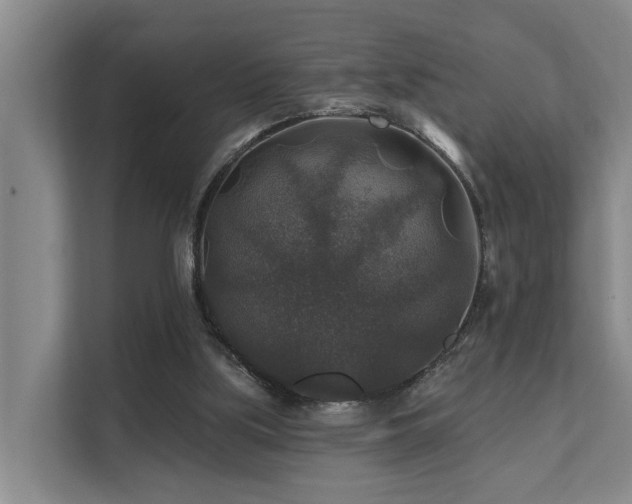 X0000111380059200907101134