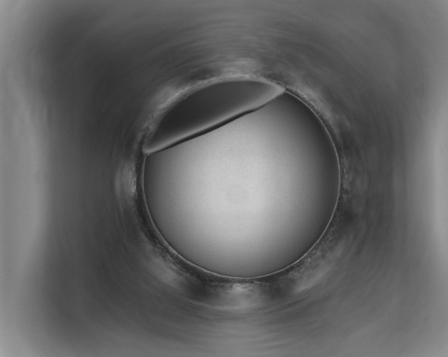 X0000111380060200907101134