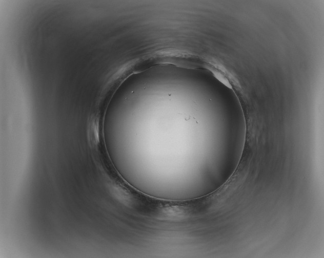 X0000111380062200907101134