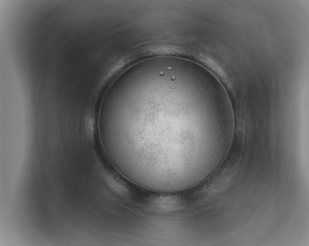 X0000111380063200907101134