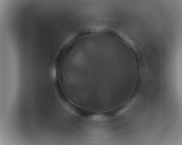 X0000111380067200907101134