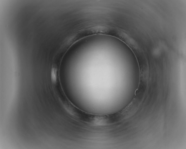 X0000111380070200907101134