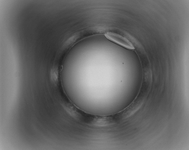 X0000111380072200907101134