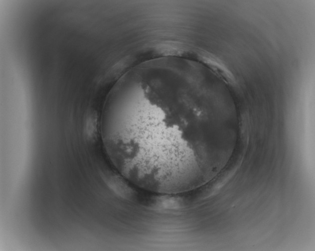 X0000111380073200907101134