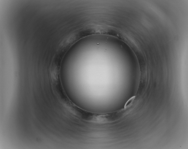 X0000111380078200907101134