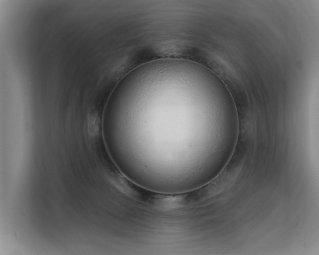 X0000111380081200907101134