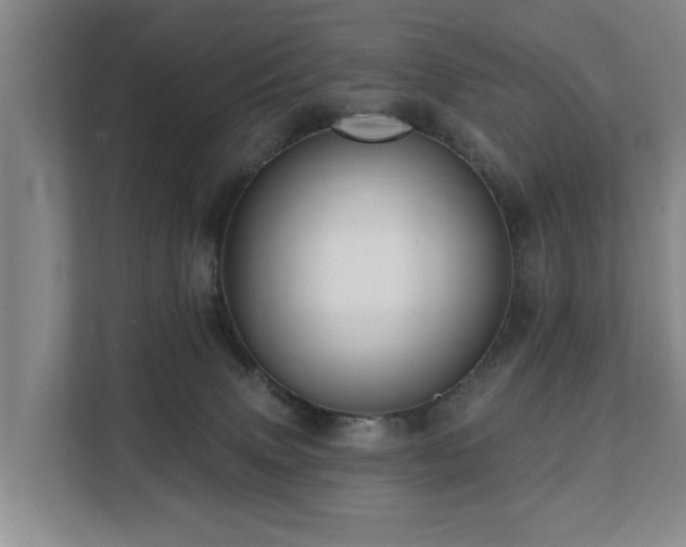 X0000111380083200907101134