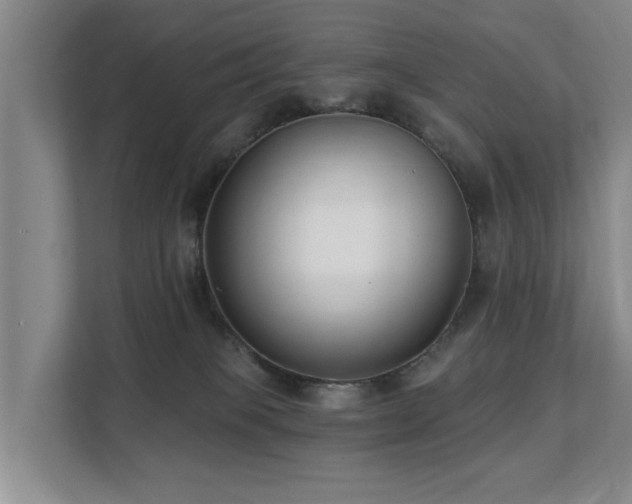 X0000111380085200907101135