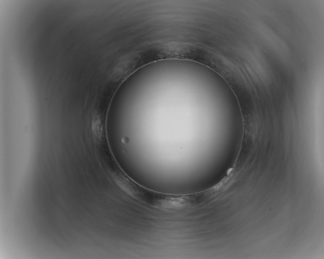 X0000111380086200907101135