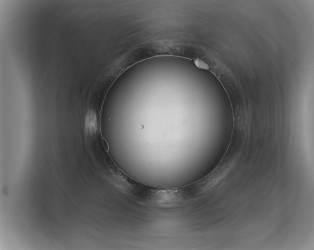 X0000111380089200907101135
