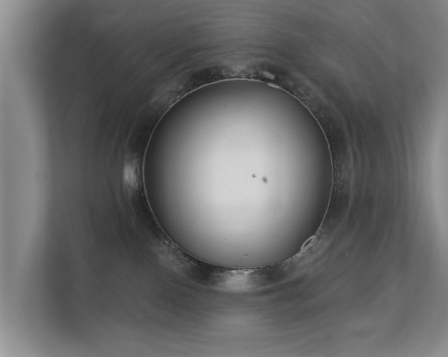 X0000111380090200907101135