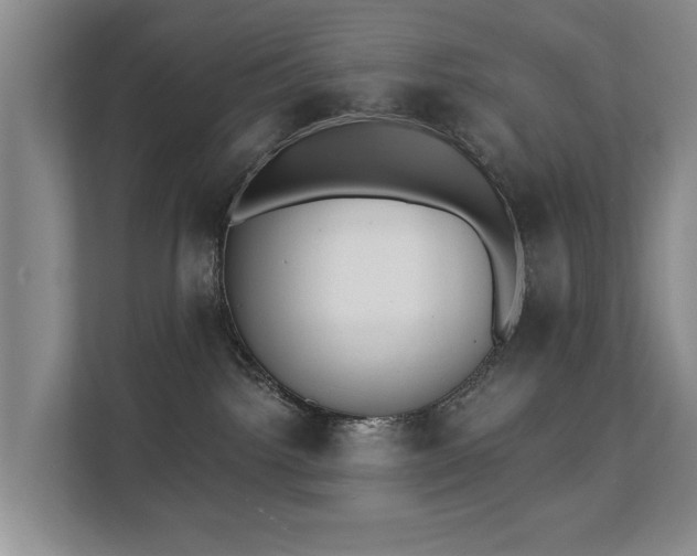 X0000111380092200907101135