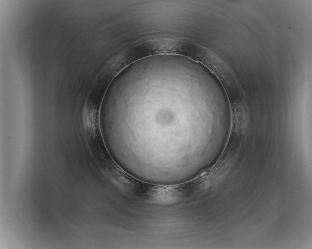 X0000111380093200907101135