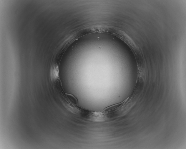 X0000111380095200907101135
