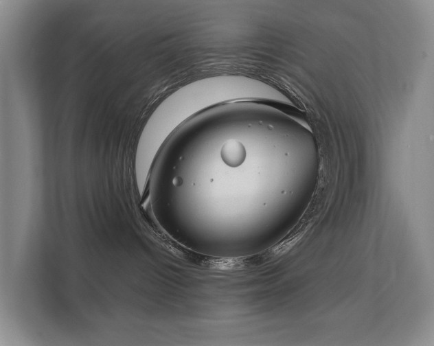 X0000111380096200907101135