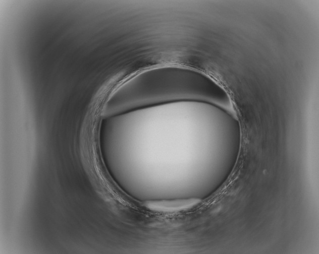 X0000111380097200907101134