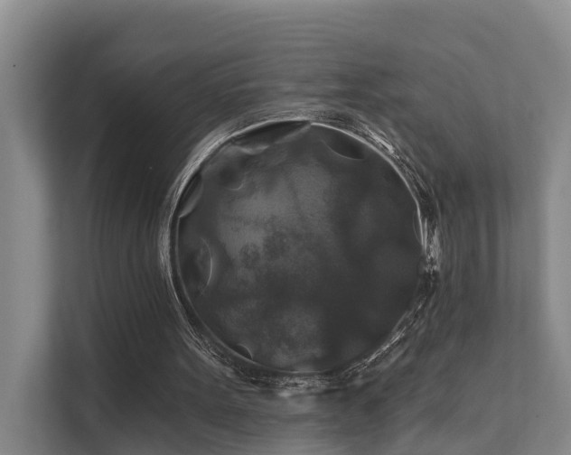 X0000111380099200907101134