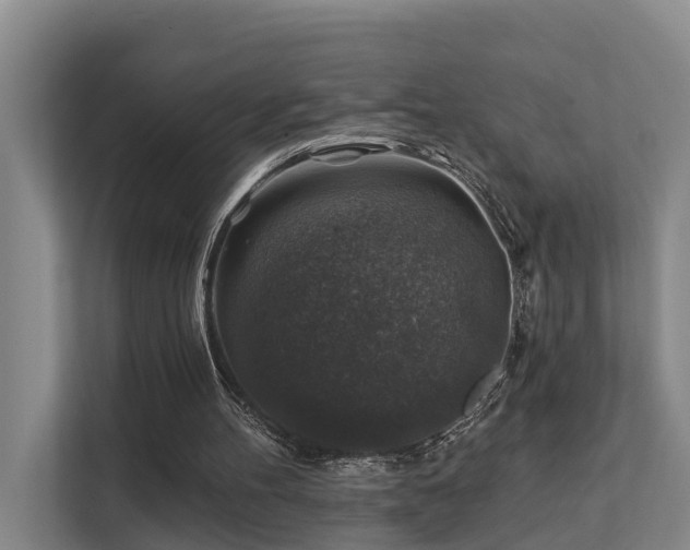 X0000111380100200907101134