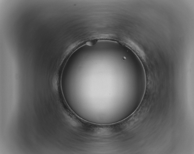 X0000111380107200907101134
