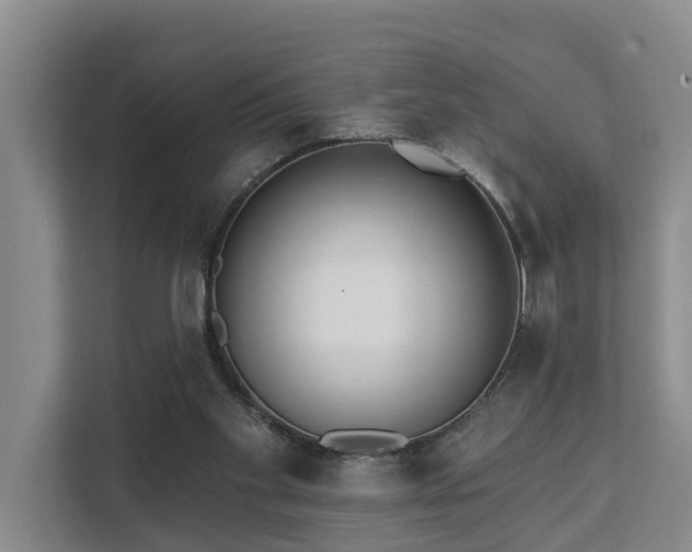 X0000111380109200907101134