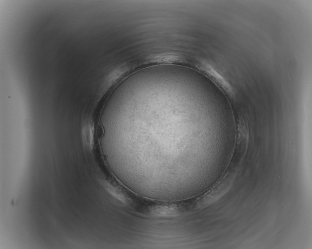 X0000111380110200907101134