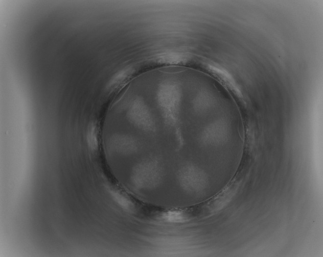 X0000111380114200907101134