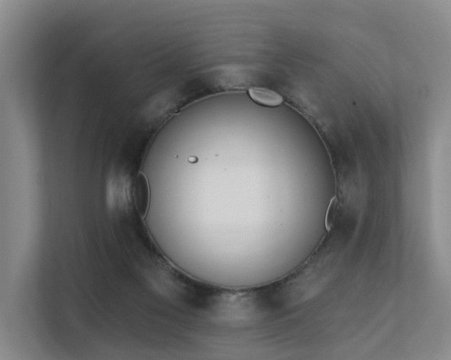 X0000111380117200907101134