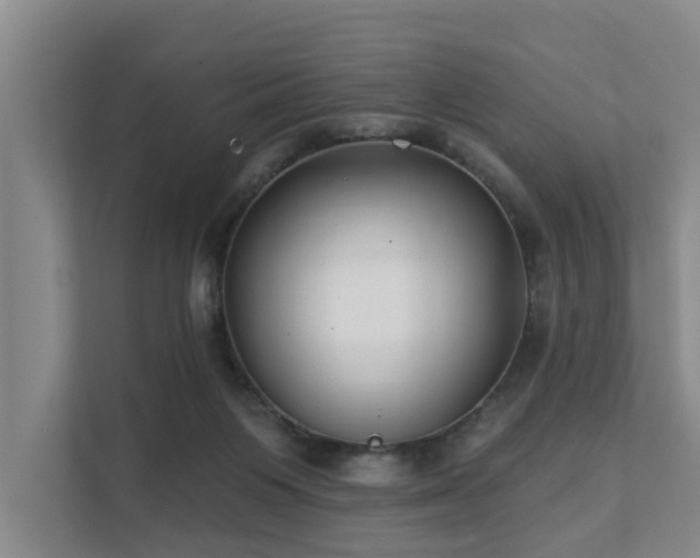 X0000111380119200907101134