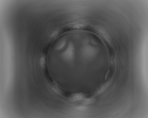 X0000111380127200907101134