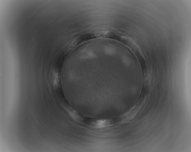X0000111380130200907101134