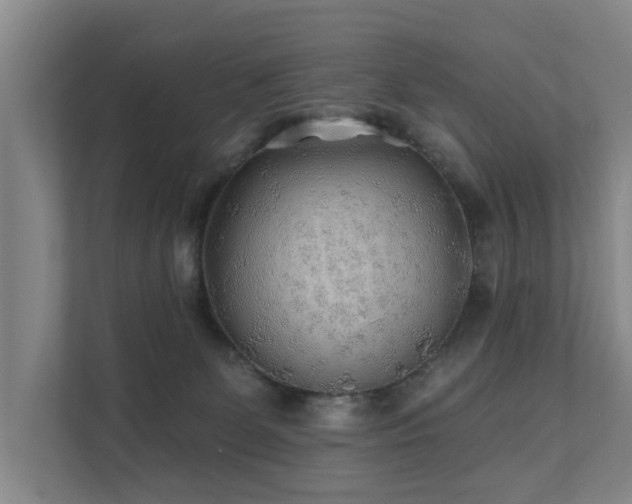 X0000111380131200907101134