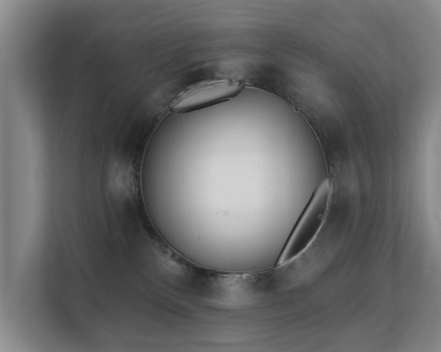 X0000111380136200907101134