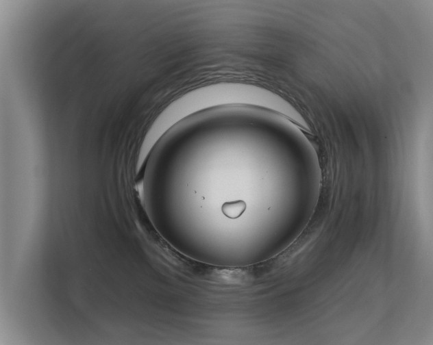 X0000111380137200907101134