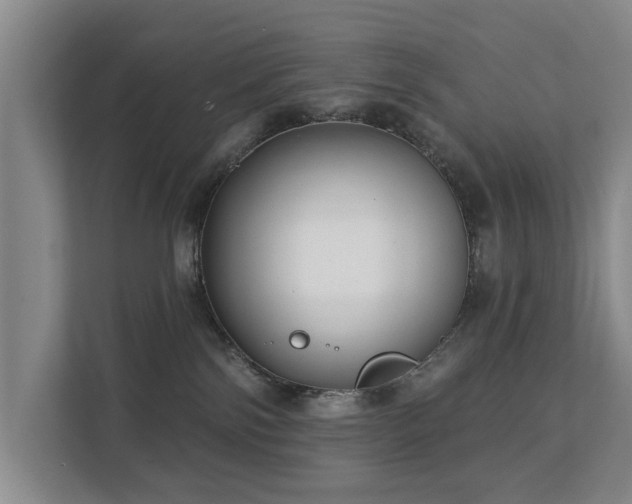 X0000111380138200907101133