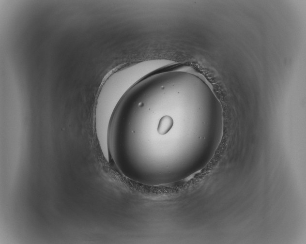 X0000111380144200907101133