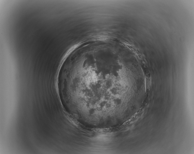 X0000111380147200907101133