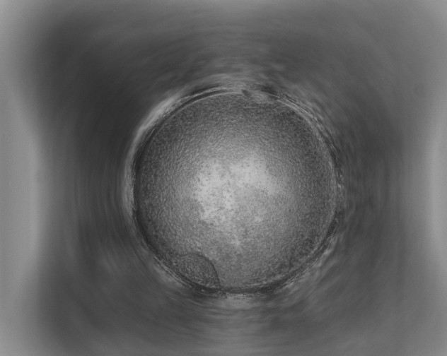 X0000111380149200907101133