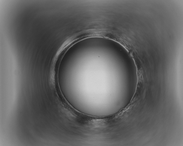 X0000111380150200907101133