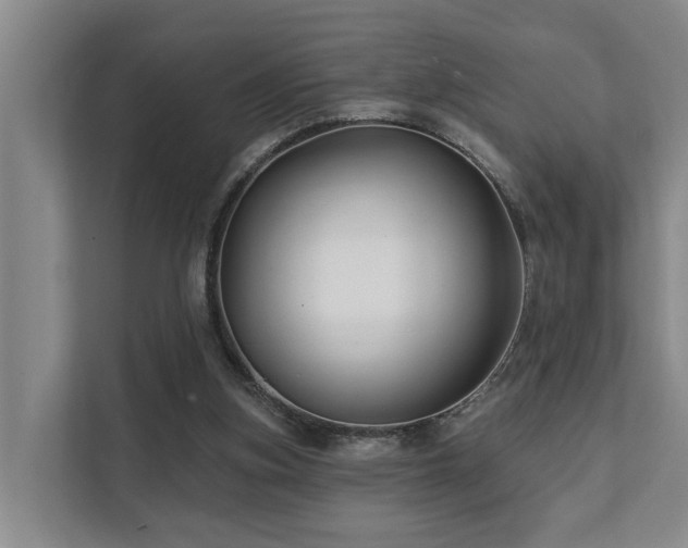 X0000111380155200907101133