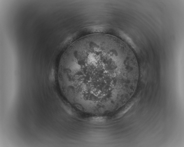 X0000111380161200907101133