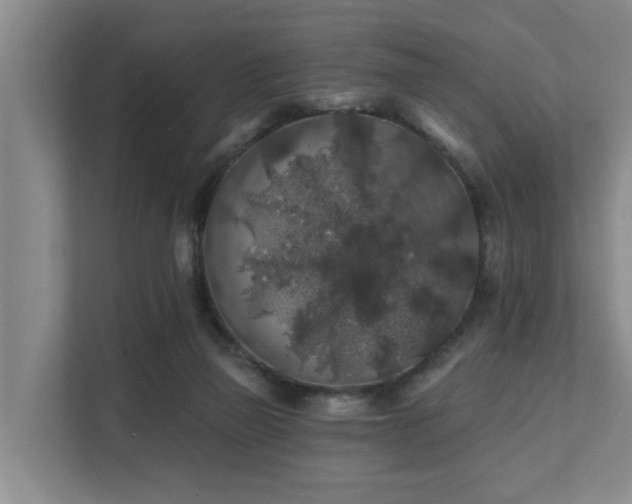 X0000111380165200907101133
