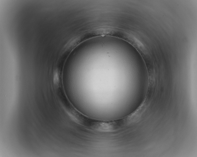 X0000111380166200907101133