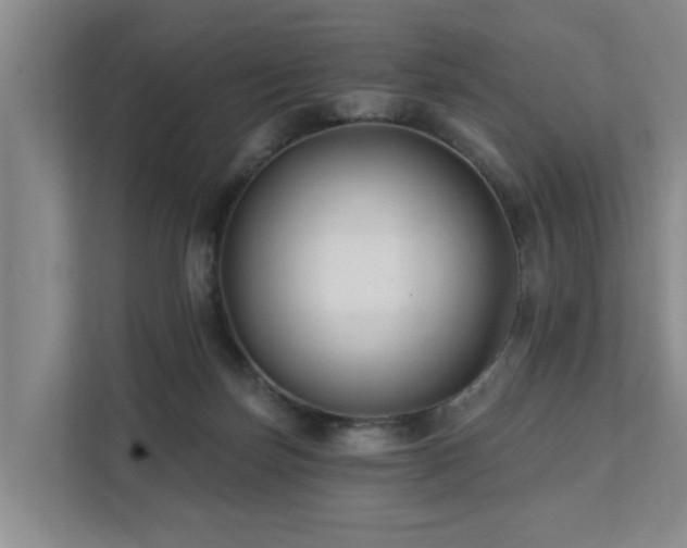 X0000111380171200907101133