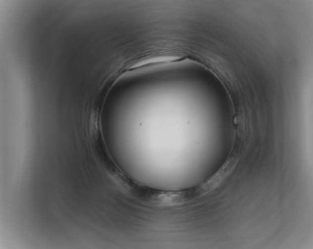 X0000111380172200907101133