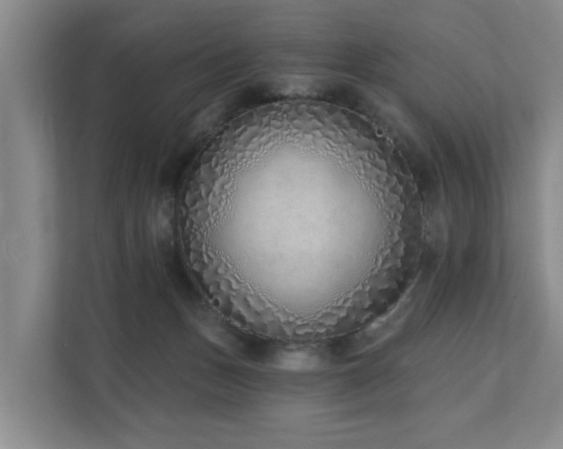 X0000111380175200907101133