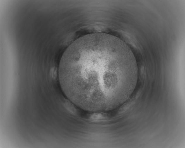 X0000111380177200907101133