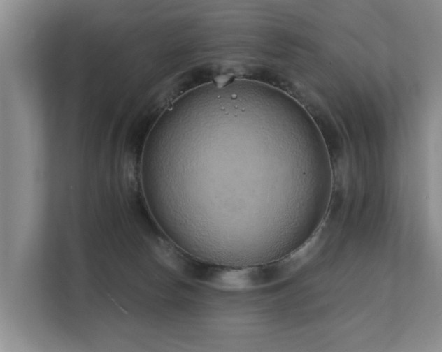 X0000111380178200907101133