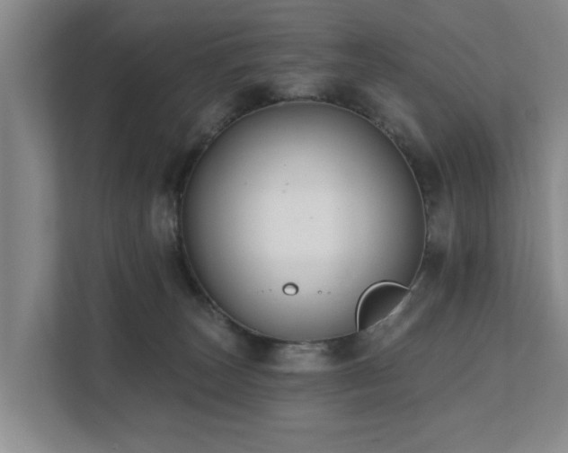 X0000111380179200907101133
