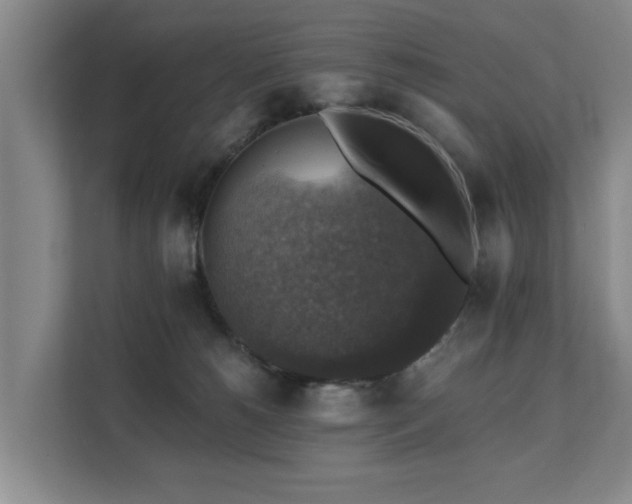 X0000111380180200907101133